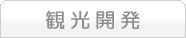 観光開発