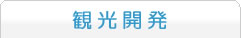 観光開発