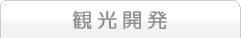 観光開発